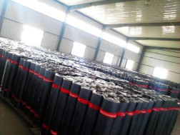 高分子自粘蘑菇视频下载官网卷材